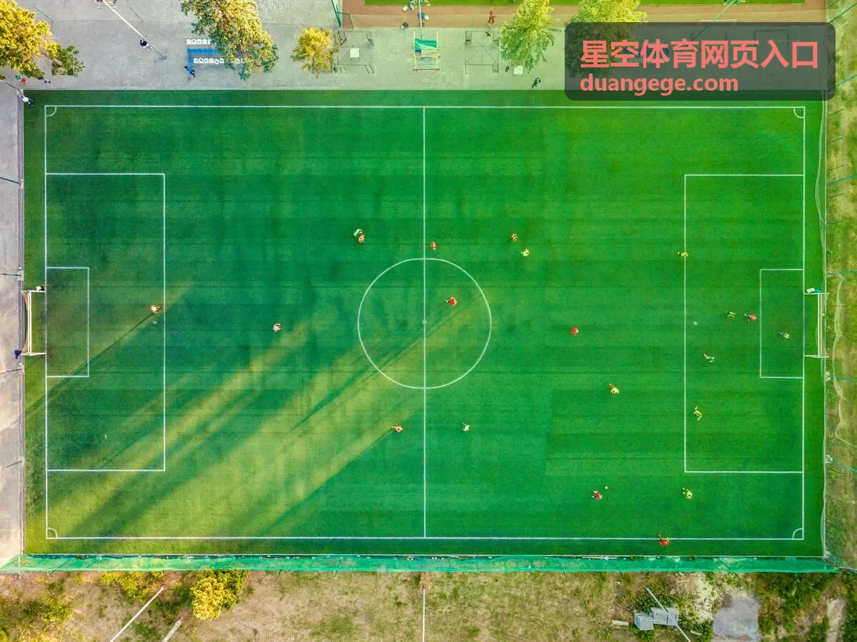 星空体育网页入口登录前的设备与网络环境自查