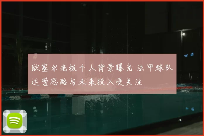 欧塞尔老板个人背景曝光 法甲球队运营思路与未来投入受关注