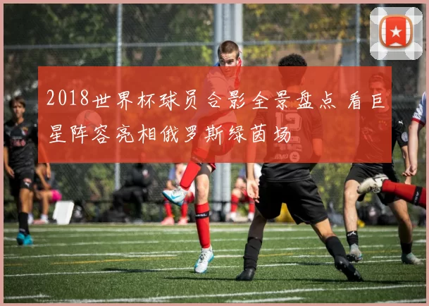 2018世界杯球员合影全景盘点 看巨星阵容亮相俄罗斯绿茵场