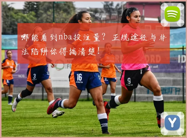 哪能看到nba投注量？正规途径与非法陷阱你得搞清楚！