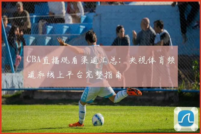 CBA直播观看渠道汇总:央视体育频道和线上平台完整指南